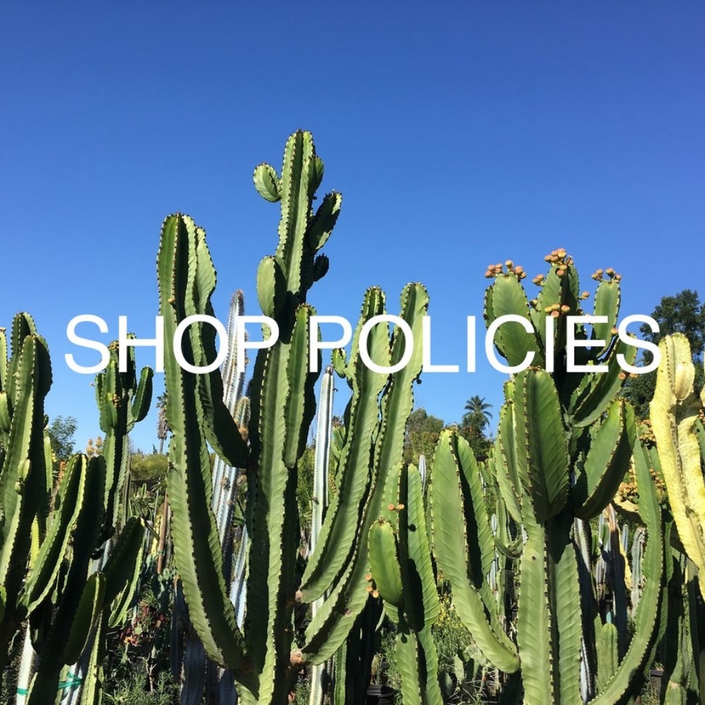 *PLEASE READ BEFORE BUYING*